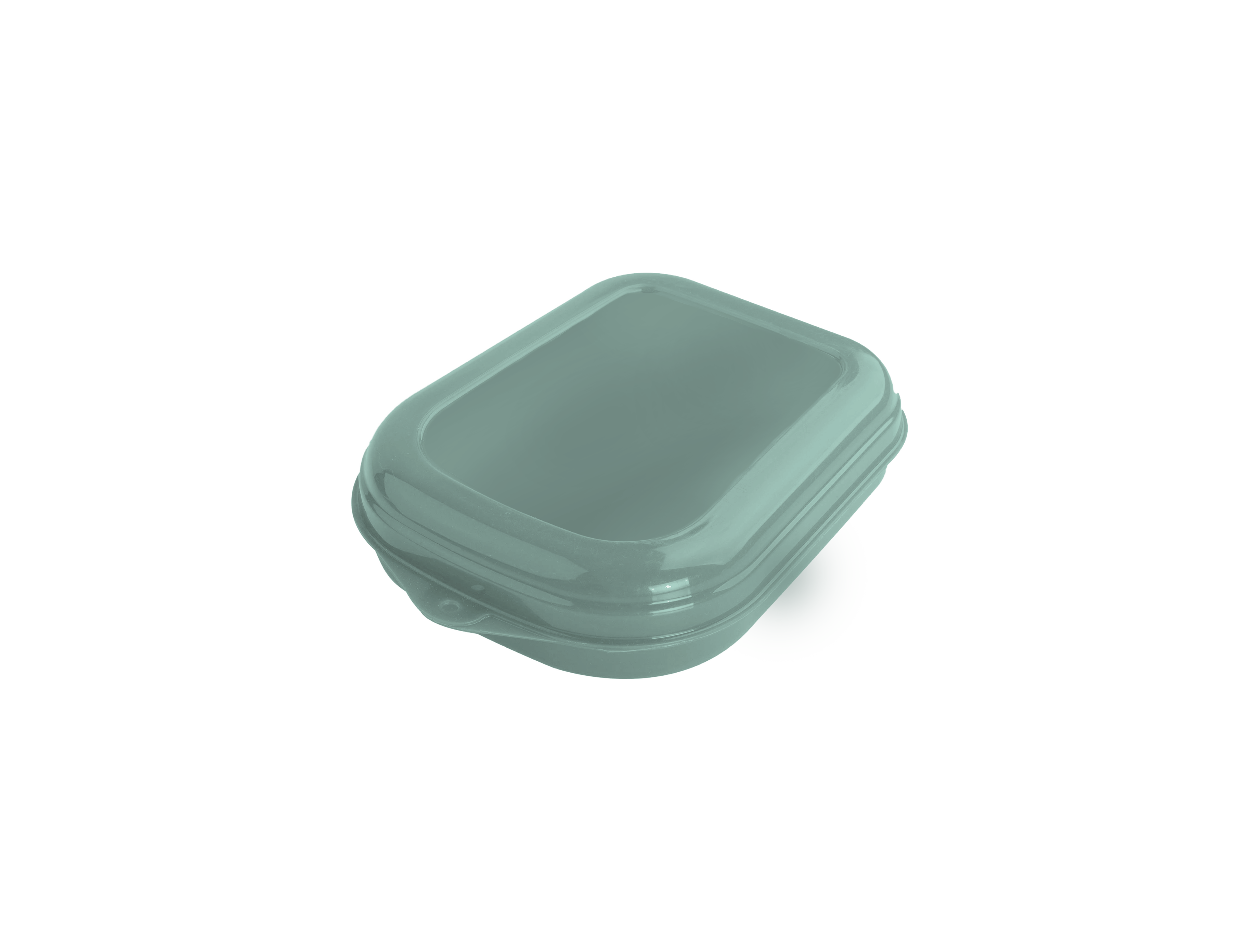 Imagem do produto: Sandwich container 5113